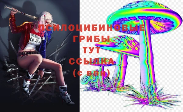 герыч Арсеньев