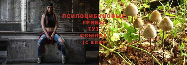тгк Баксан