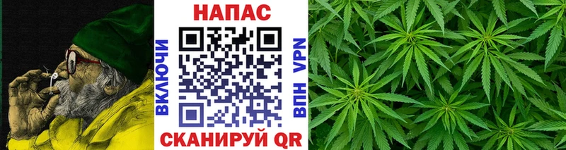 Марихуана гибрид  Сольцы 